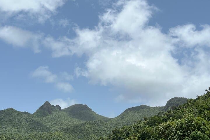 El Yunque Guided Tour from San Juan — Waterfalls, Yocahu Tower & Rainforest Swim photo 5