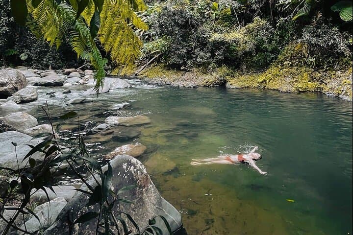 El Yunque Guided Tour from San Juan — Waterfalls, Yocahu Tower & Rainforest Swim