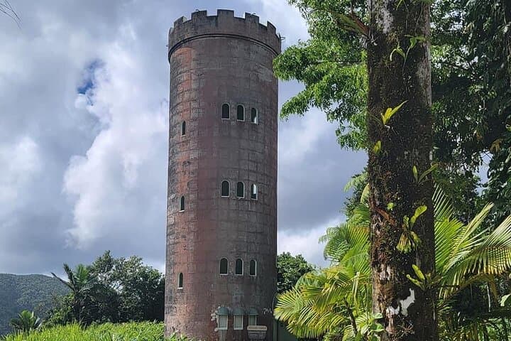 El Yunque Guided Tour from San Juan — Waterfalls, Yocahu Tower & Rainforest Swim photo 6