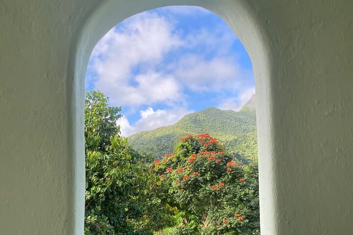 El Yunque Guided Tour from San Juan — Waterfalls, Yocahu Tower & Rainforest Swim photo 4
