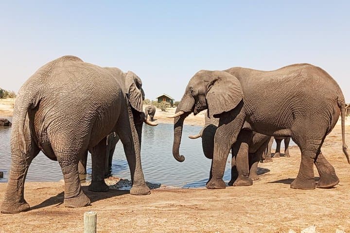 5-Day Victoria Falls Safari: Hwange, Chobe & Zambezi Sunset Cruise photo 1