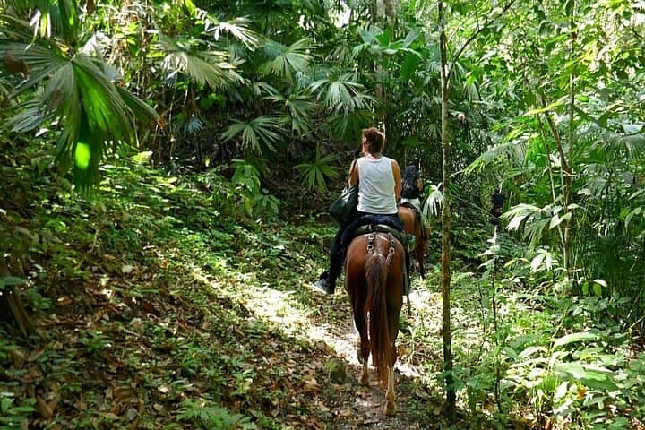 Horseback Jungle Ride and River Swim from Palomino photo 4
