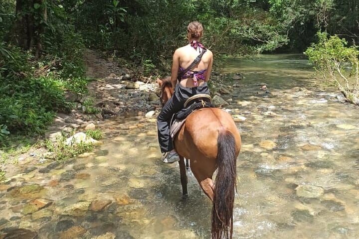 Horseback Jungle Ride and River Swim from Palomino photo 5