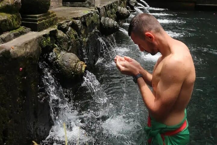 Private Bali Day Tour: Ubud Monkey Forest, Rice Terraces & Sacred Springs