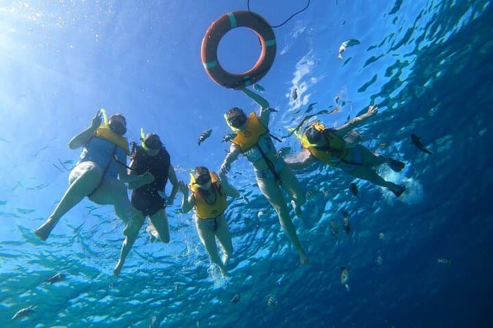 Cozumel Snorkel Tour: Explore Dzul-Ha and Paradise Reefs on Chivis del Mar photo 3