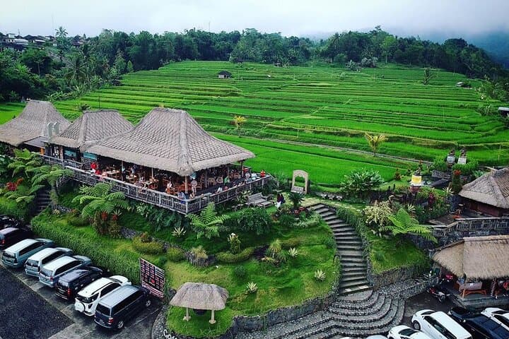 Full-Day Private Water Temples Tour in Bali — Ulun Danu, Jatiluwih & Tanah Lot photo 3
