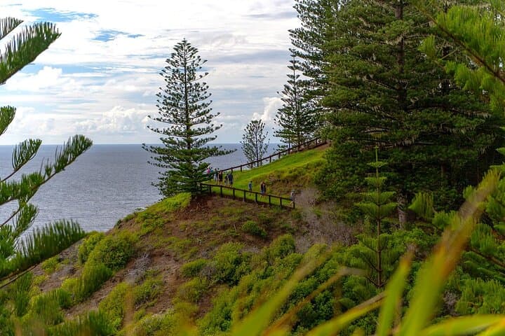 Breakfast Bushwalk on Norfolk Island — Morning Hike with Barbecue Breakfast photo 2