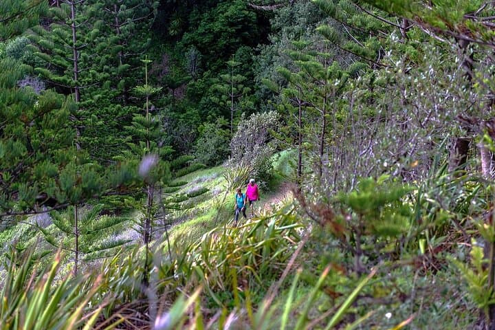 Breakfast Bushwalk on Norfolk Island — Morning Hike with Barbecue Breakfast photo 3