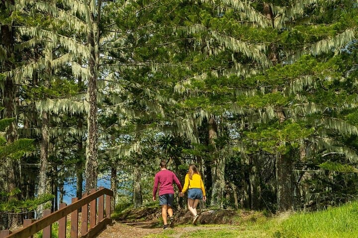 Breakfast Bushwalk on Norfolk Island — Morning Hike with Barbecue Breakfast photo 6