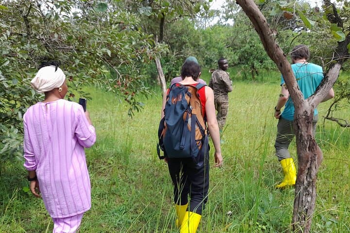 Ziwa Rhino Tracking: Full-Day Rhino Trek from Kampala to Uganda's Only Wild Rhino Sanctuary photo 6