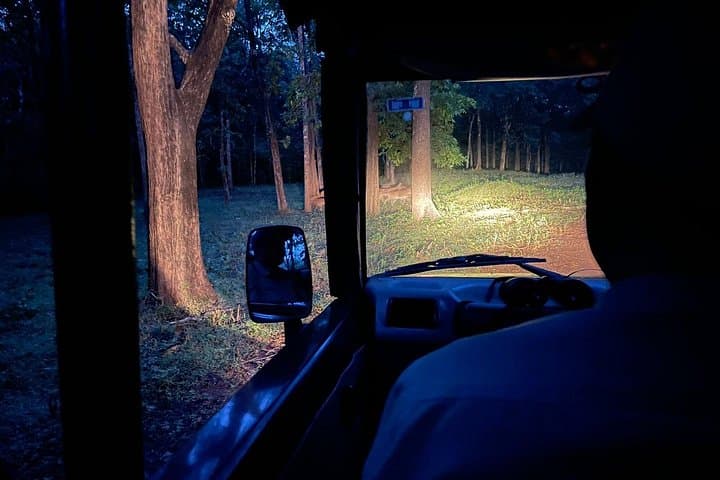 Day Trip from Goa to Anshi National Park: Kali River Rafting & Dandeli Wildlife Safari