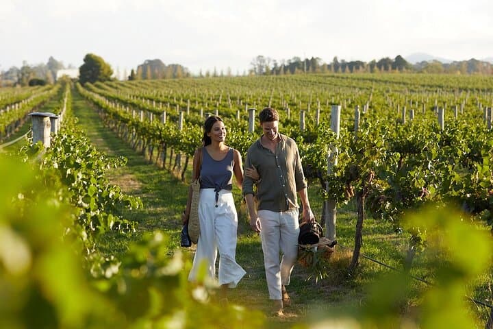 Peza Valley Wine Tour: Lyrarakis & Titakis Wineries with Cretan Lunch photo 4