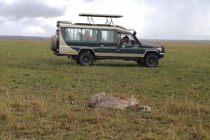 3-Day Private 4x4 Masai Mara Safari: Big Five, Wildebeest River Crossings & Camp Stays photo 1