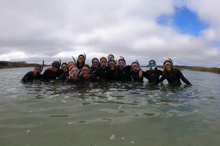 Guided Snorkel Tour at Coral Beach Carraroe — Wild Atlantic Snorkeling in Galway photo 4