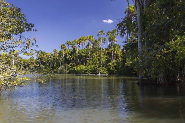 3-Day Tambopata National Reserve Tour: Canopy Towers, Clay Licks & Night Wildlife photo 2