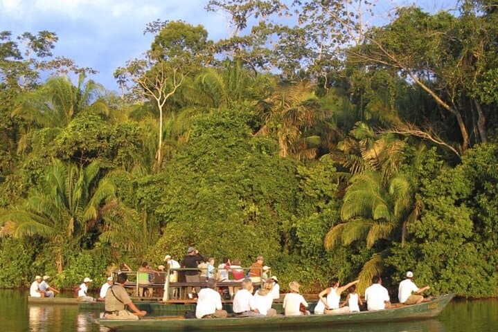 3-Day Tambopata National Reserve Tour: Canopy Towers, Clay Licks & Night Wildlife