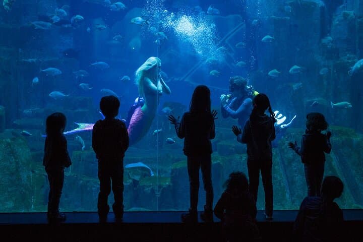 Paris All‑Inclusive Pass: 90+ Attractions, Seine Cruise & Museum Access photo 6