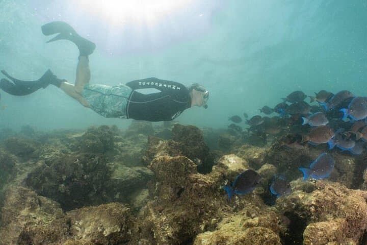 Small-Group Snorkeling Trip at Guánica: Boat Access to Healthy Reefs and Turtles