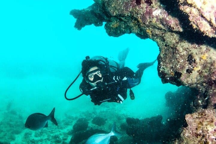 Copamarina Two-Tank Scuba: Epicenter & The Wall Dives, Puerto Rico photo 2