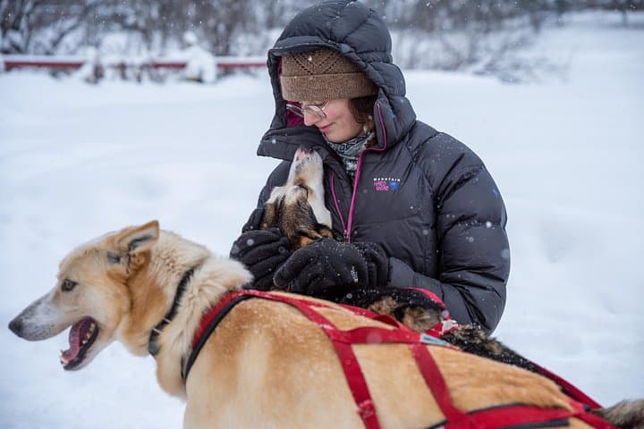 Sled Dog Sampler Ride at Trail Breaker Kennel — Fairbanks Dog Sledding Experience photo 3