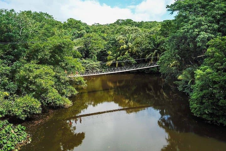 Gumbalimba Park Walking Tour: Macaws, Monkeys & Jungle Bridges in Roatán photo 2