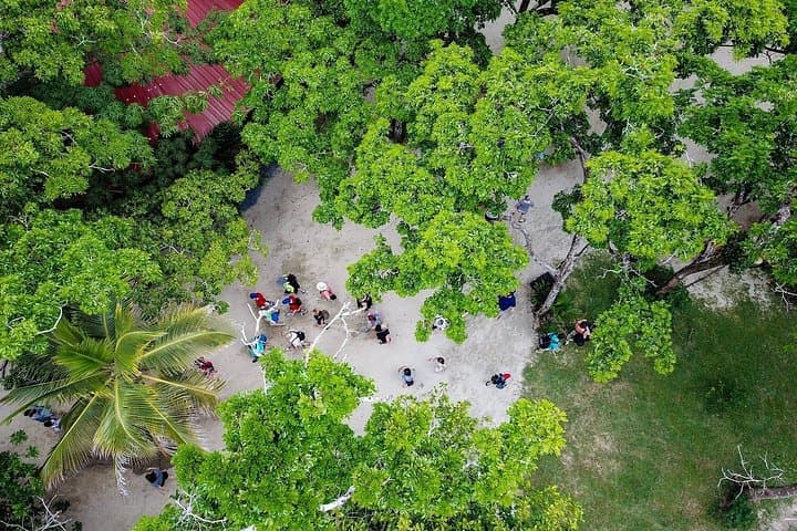 Gumbalimba Park Walking Tour: Macaws, Monkeys & Jungle Bridges in Roatán photo 6