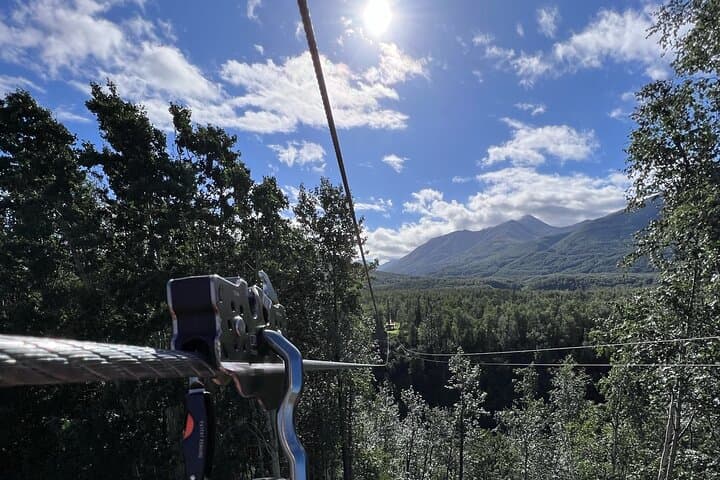 Soar Over Lazy Mountain: Tandem Zipline Tour in Mat-Su Valley photo 5