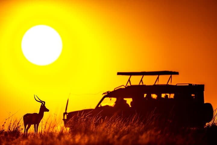 3-Day Private Masai Mara Safari in a 4x4 Land Cruiser photo 6