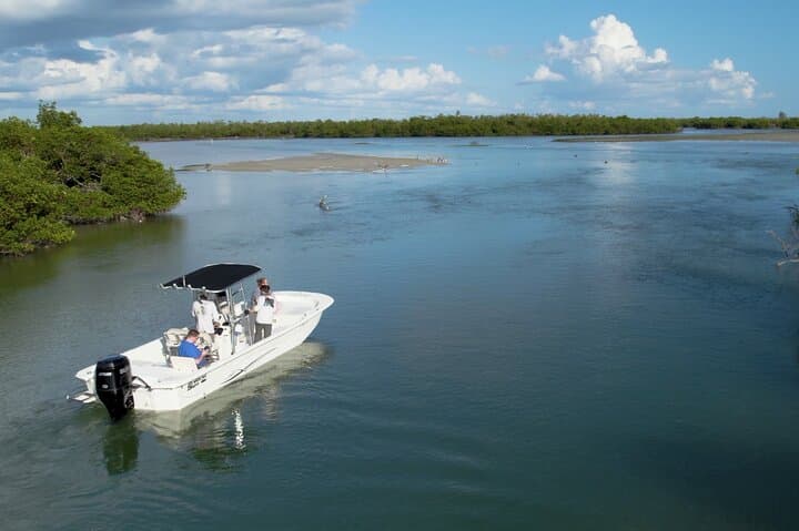 Private Marco Island 10,000 Islands Sightseeing and Dolphin Tour photo 3
