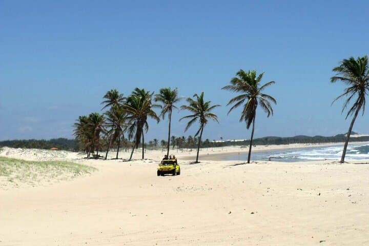 Full-Day Cumbuco Beach & Dune Adventure from Fortaleza photo 6