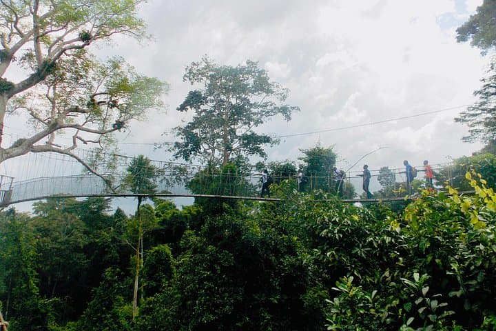 5-Day Tambopata Amazon Tour: Macaw Clay Licks, Jungle Lodge & Wildlife photo 4