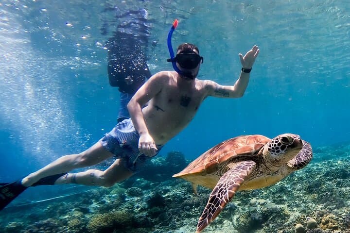 Snorkel with Turtles and Underwater Statues in the Gili Islands photo 3