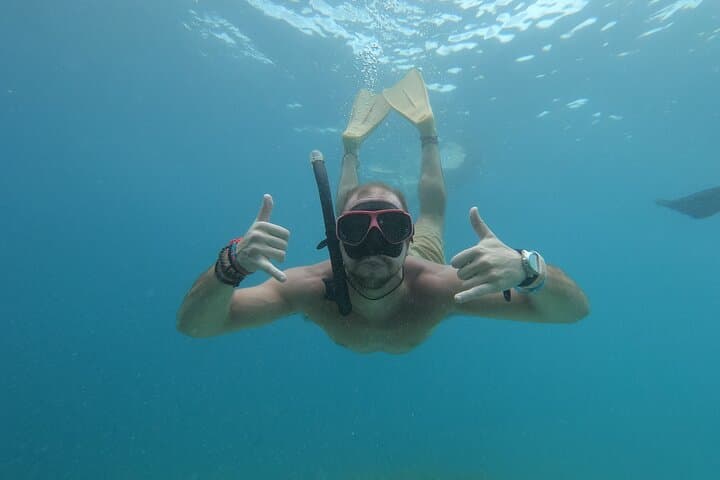 Snorkel with Turtles and Underwater Statues in the Gili Islands photo 5