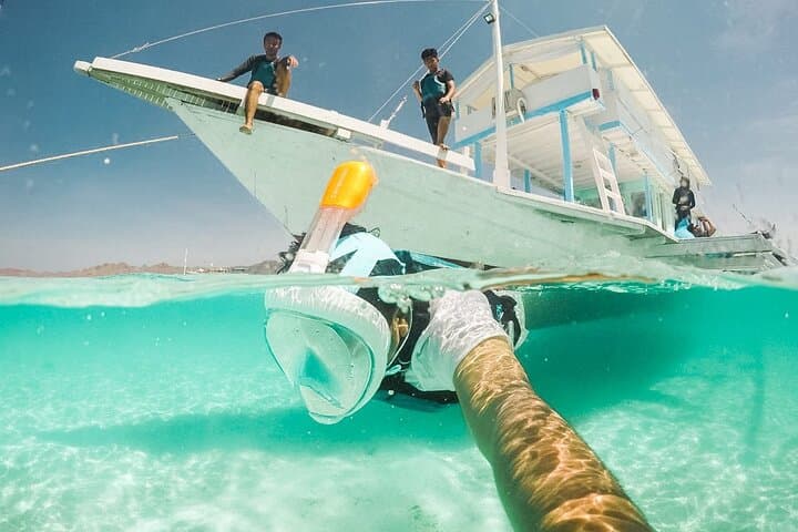 Snorkel with Turtles and Underwater Statues in the Gili Islands photo 6