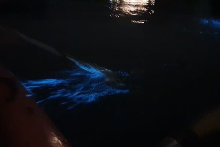 Lan Ha Bay 2-Day Adventure: Bioluminescent Night Kayak & Viet Hai Village photo 4