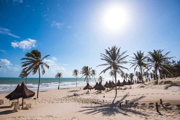 Full-Day Cumbuco Beach & Dune Adventure from Fortaleza photo 6