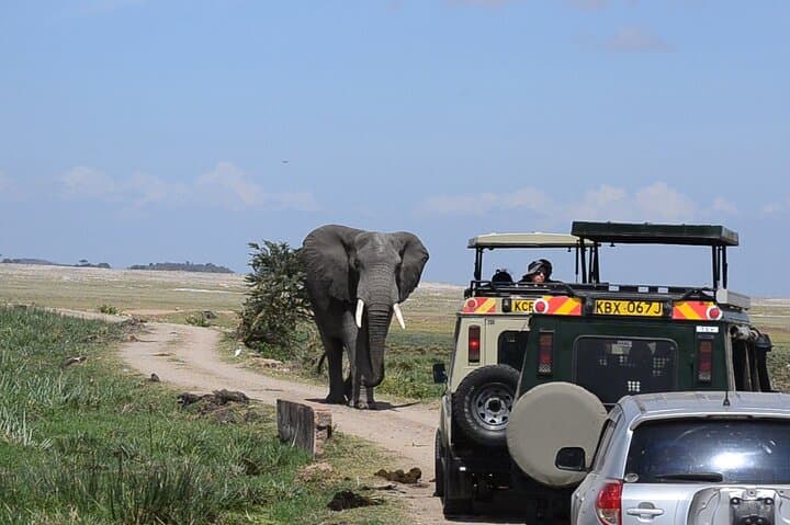 Amboseli 2-Day Safari: Up-Close Elephant Encounters & Mount Kilimanjaro Views