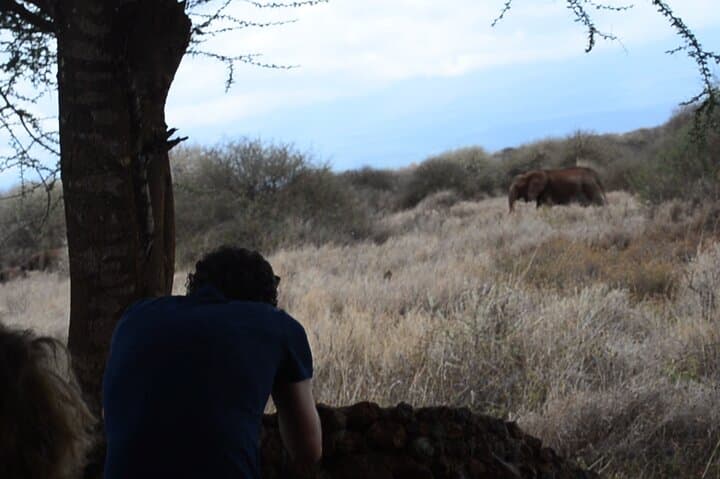 Amboseli 2-Day Safari: Up-Close Elephant Encounters & Mount Kilimanjaro Views photo 2