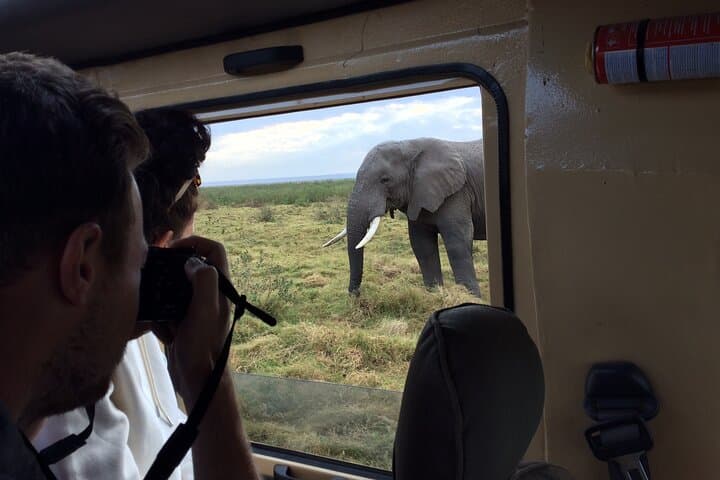 Amboseli 2-Day Safari: Up-Close Elephant Encounters & Mount Kilimanjaro Views photo 3