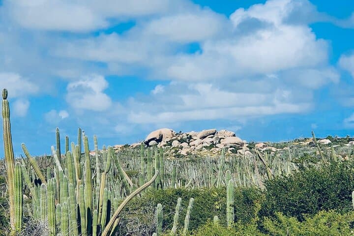 Half-Day Aruba UTV UTV Adventure Tour: Drive Natural Bridge, Cave Pool & California Lighthouse photo 4