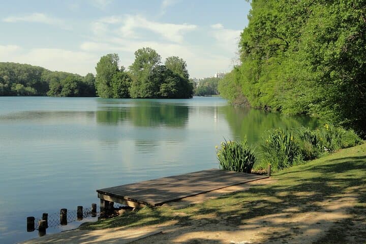 Private Transfer Montpellier to Lyon with 2‑Hour Saint‑Étienne Museum Stop photo 2