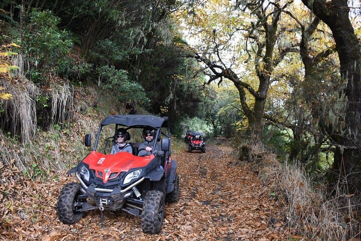 La Palma Volcano Buggy Tour: 5-Hour Off-Road Adventure Through Cumbre Vieja