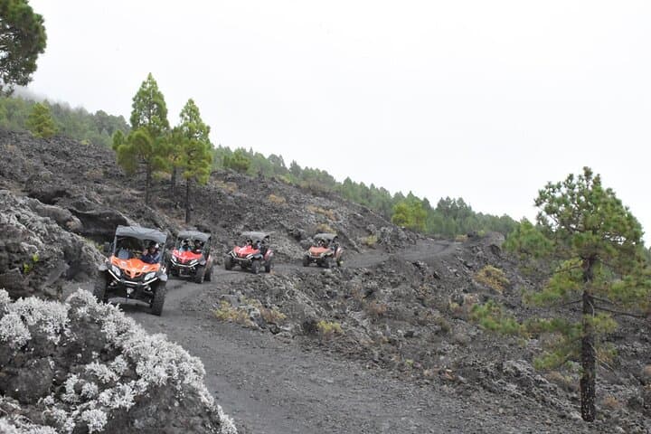 La Palma Volcano Buggy Tour: 5-Hour Off-Road Adventure Through Cumbre Vieja photo 4