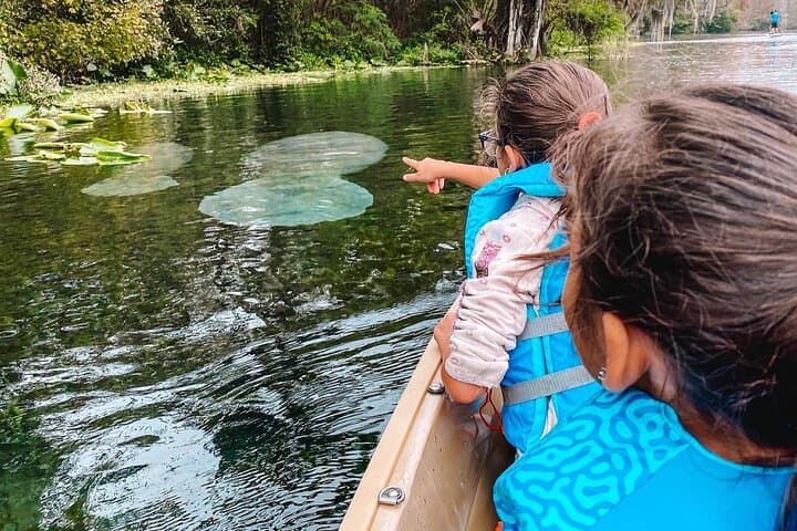 Silver Springs Glass-Bottom Kayak Tour — See Manatees, Monkeys & Underwater Ruins photo 5