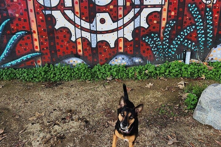 Explore the LA River: Echo Park Secret Stairs & Urban Eco Tour photo 3