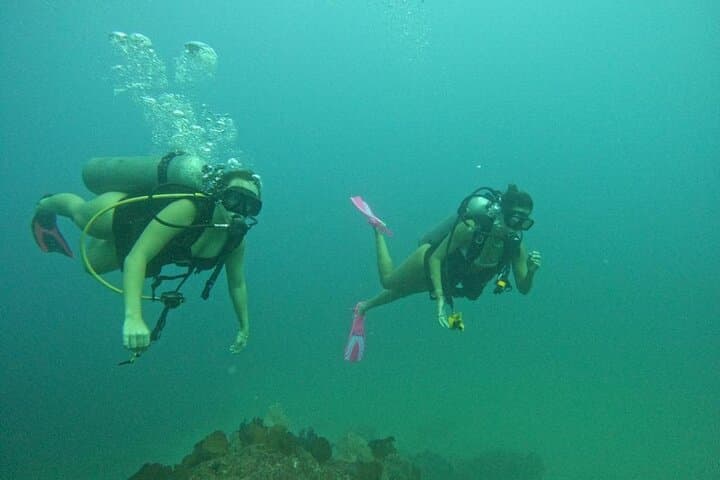 Discover Scuba at Pelican Rock: Non‑Certified Diving in Cabo San Lucas photo 5