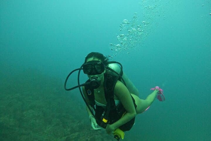 Discover Scuba at Pelican Rock: Non‑Certified Diving in Cabo San Lucas photo 6