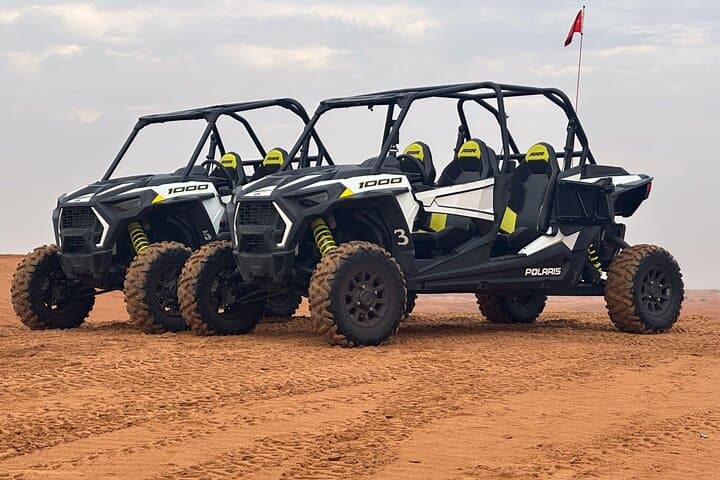 Dubai VIP Red Dunes Desert Safari: Dune Bashing, Camel Ride & VIP Dinner photo 6