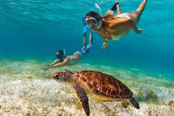 Private Half-Day Snorkel & Paddle Catamaran in Providenciales, Turks and Caicos