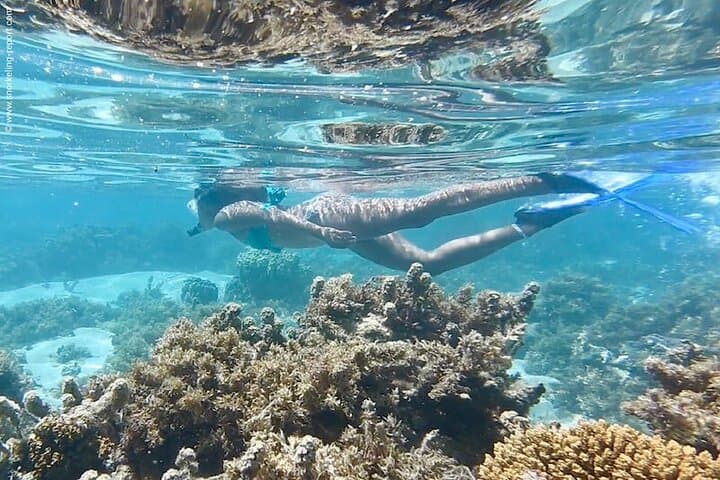 Private Half-Day Snorkel & Paddle Catamaran in Providenciales, Turks and Caicos photo 3